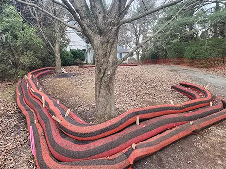 Site Excavation